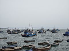 -海源公园