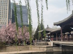 -元大都城垣遗址公园