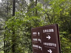 -苍山感通索道