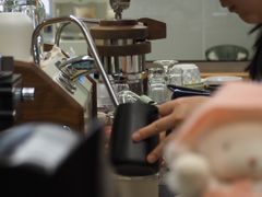 -Cappucimeow猫咪咖啡馆(韦伯时代店)