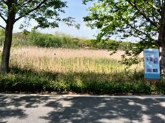 -同里国家湿地公园