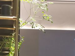 -Home Cafe(水榭春天店)