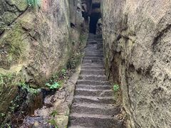 -鲁山国家森林公园