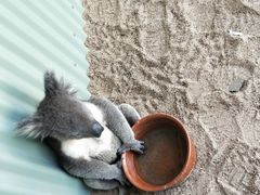 -费瑟代尔野生动物园