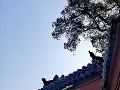 -韩城古城