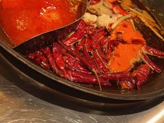 -朱光玉火锅馆(正弘城店)