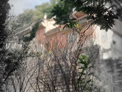 -草庵摩尼教遗址公园