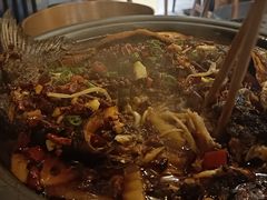 -炉小二铜锅牛蛙•川湘菜(三里屯店)