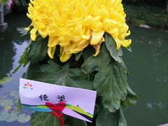 -杭州植物园