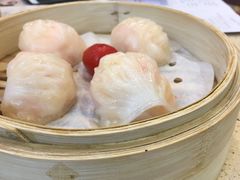金牌虾饺皇-点都德(千灯湖环宇城店)