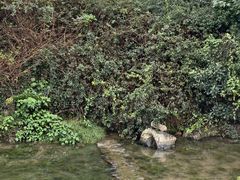 -陶祖圣境风景区