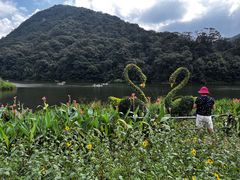 -广州市石门国家森林公园