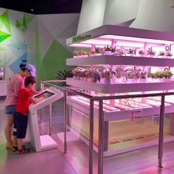 -北京科学中心儿童乐园