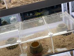 -宝鸡东道花鸟鱼虫市场(吉利花园商场店)