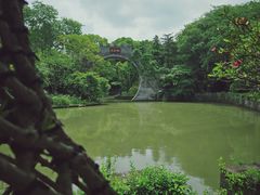 -朴园