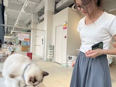 -怪兽屋·羊驼·猫咖·狗咖(俊华广场店)