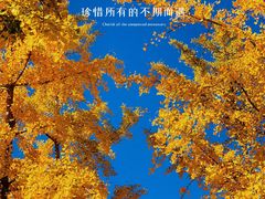 -永定河休闲森林公园