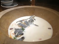 -滇小鱼·云南野生菌火锅(上杭路店)