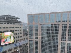 -喜悦烤鸭·新京菜(王府井店)