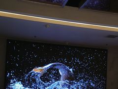 -阿五黄河大鲤鱼(纬三路店)