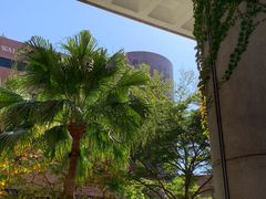 -香港理工大学