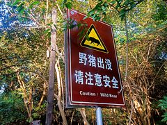 -紫金山山顶公园