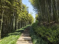 -良渚古城遗址公园