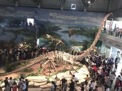 -自贡恐龙博物馆