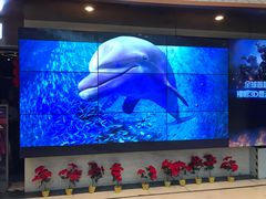 -AMG海上明珠影城(上海环球港RealDCinema店)