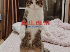 -联合动物医院(光谷诊疗中心)