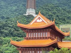 -深圳仙湖植物园