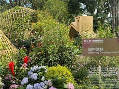 -海心沙亚运公园