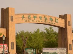 -北京野生动物园