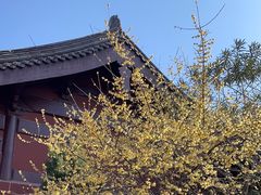 -钱王祠