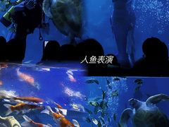 -左海海底世界