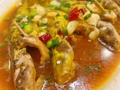 -呼吸森林·生态农庄农家乐私房菜