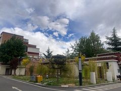 -西藏自治区图书馆