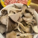 写食12111