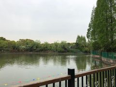 -黄兴公园