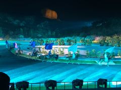 -鼎盛王朝康熙大典实景演出