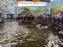 -华夏文旅海洋公园