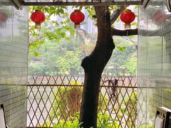 -绿雅居原生态农庄(小涌店)