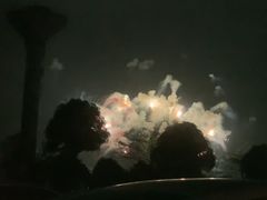 -南宁花花大世界景区