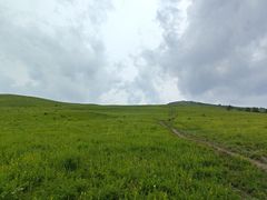 -灵山