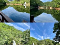 -洛阳白云山景区