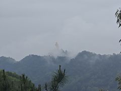 -南山植物园
