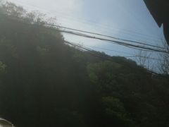 -Local泰莲庭(虹鳟鱼店)
