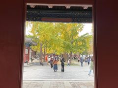 -北京国子监胡同