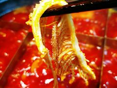 千层肚-重庆渝达老火锅(春熙路店)