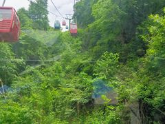 -王顺山国家森林公园